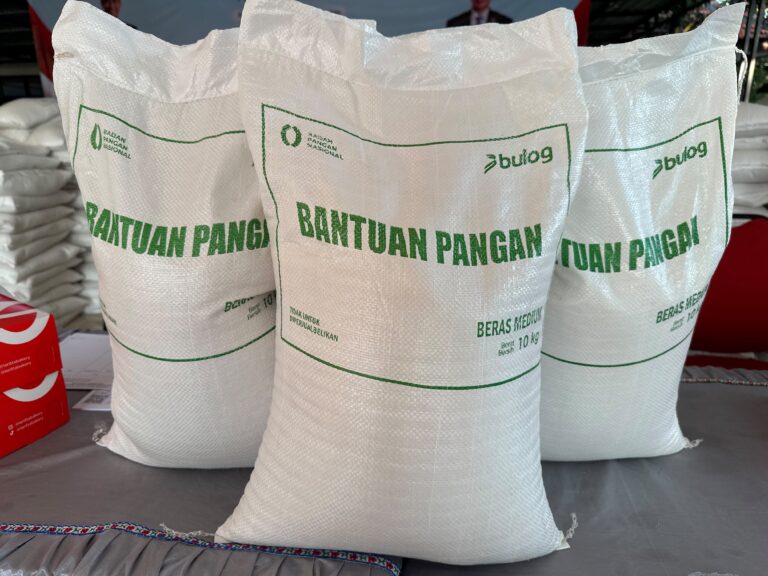 BUMN Sebar Bansos Dua Bulan Antisipasi Harga Pangan Naik