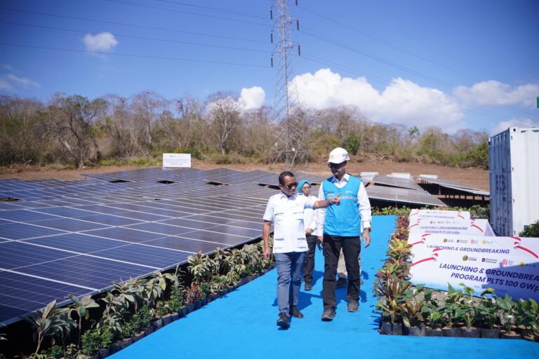 RI Bangun PLTS 100 GWp, Bos PLN: Ketergantungan Energi Fosil Bakal Berkurang