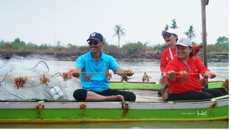HK Bio Care Dorong Budidaya Rumput Laut Berkelanjutan